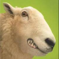 Microsheep